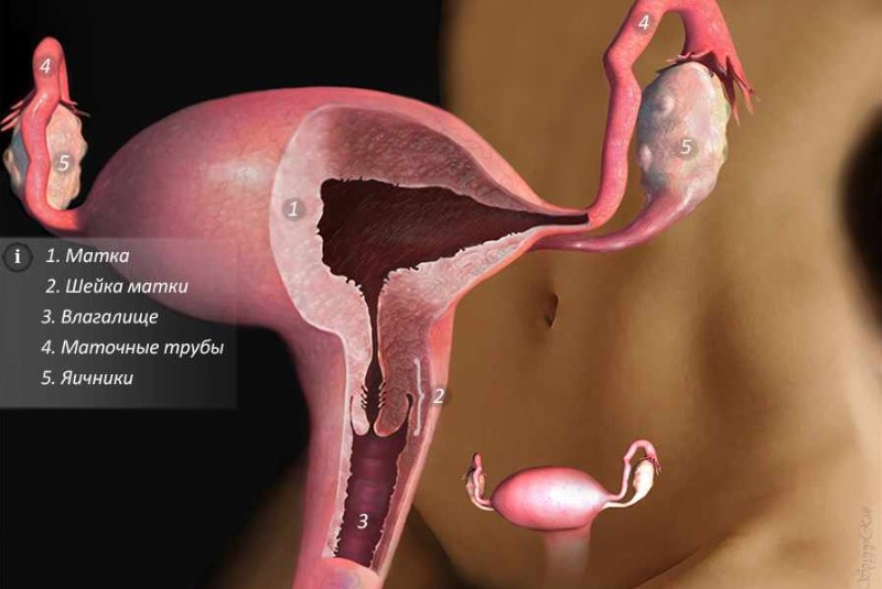 Последствия перевязки маточных труб для здоровья женщины